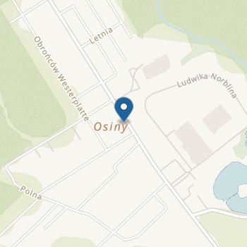 Niepubliczne Przedszkole Integracyjne "Osinkowo" na mapie