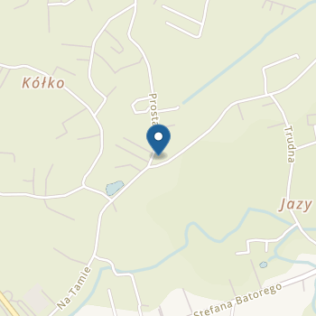 Prywatne Przedszkole Językowo-Artystyczne "Słoneczna Kraina" w Niepołomicach na mapie