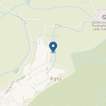 Niepubliczne Przedszkole Sportowo-Językowe Fair Play Neco na mapie