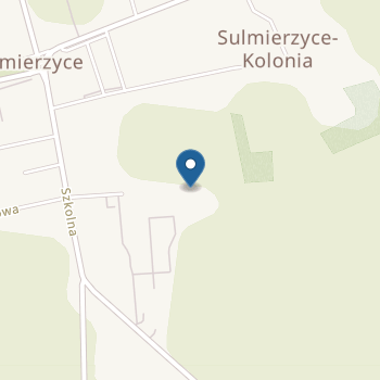 Publiczne Przedszkole w Sulmierzycach na mapie