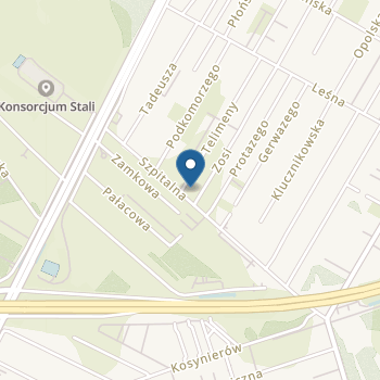 Niepubliczne Przedszkole nr 17 "Smerfusie" na mapie