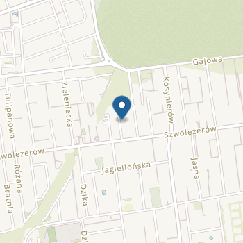 Niepubliczne Przedszkole Jagódka na mapie