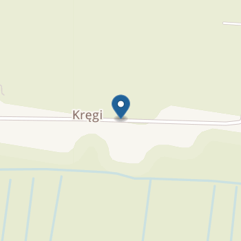 Niepubliczne Przedszkole Twórcze "Pałacowe Skrzaty" w Kręgach na mapie