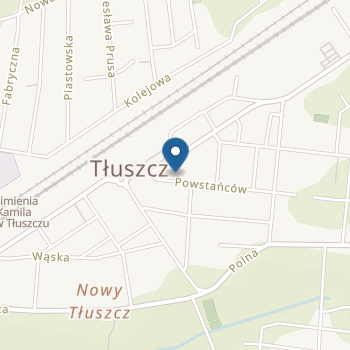 Niepubliczne Przedszkole Społeczne Językowo-Artystyczne "Galileo" Stowarzyszenia "Kastor - Inicjatywa dla Rozwoju" na mapie