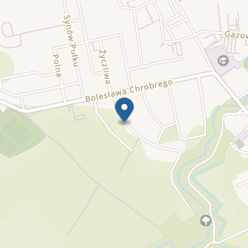 Niepubliczne Przedszkole dla dzieci z Autyzmem na mapie