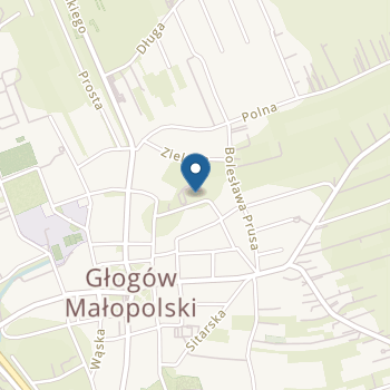 Niepubliczne Przedszkole Parafialne im. św. Michała Archanioła w Głogowie Małopolskim na mapie