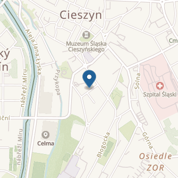 Przedszkole Niepubliczne Bajlandia o Profilu Muzyczno - Językowym na mapie