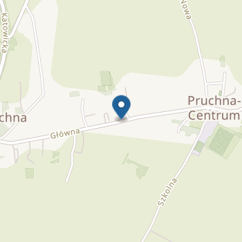 Niepubliczne Przedszkole "Kubusiowa Kraina" Halina Dziadek-Zachorek na mapie