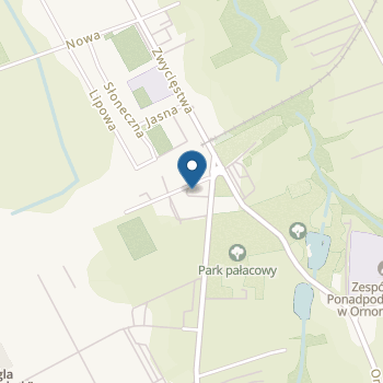 Katolickie Przedszkole Niepubliczne Sióstr Służebniczek Nmp Npim. Aniołów Stróżóww Ornontowicach na mapie