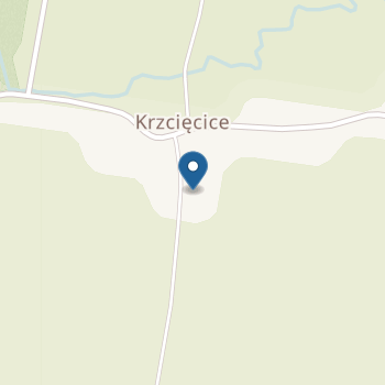 Niepubliczne Przedszkole "Z Uśmiechem" w Krzcięcicach na mapie