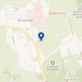 Niepubliczne Przedszkole "Różowy Słoń" na mapie