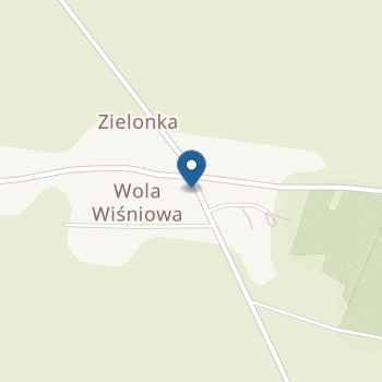 Niepubliczne Przedszkole "Kubuś Puchatek" w Woli Wiśniowej na mapie