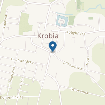 Przedszkole Niepubliczne im. Bł. Edmunda Bojanowskiego w Krobi na mapie