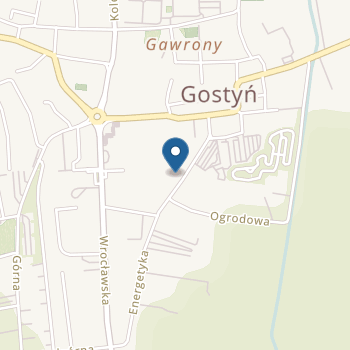 Niepubliczne Przedszkole "Domowe Przedszkole" w Gostyniu na mapie