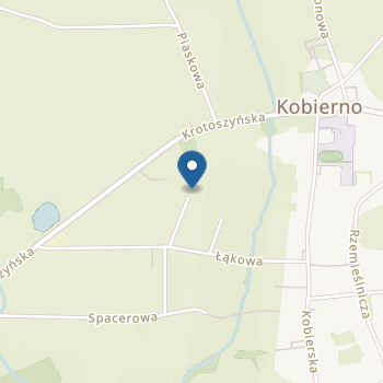 Niepubliczne Przedszkole "U Zuzi" w Krotoszynie na mapie