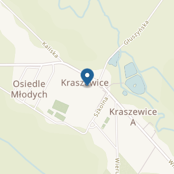 Publiczne Przedszkole "Mali Odkrywcy" w Kraszewicach na mapie