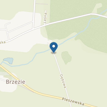Publiczne Przedszkole w Brzeziu na mapie