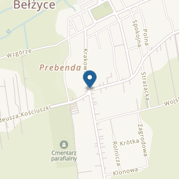 Przedszkole w Niedrzwicy Kościelnej na mapie
