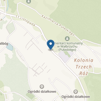 Niepubliczne Przedszkole "Mali Odkrywcy" w Wałbrzychu na mapie