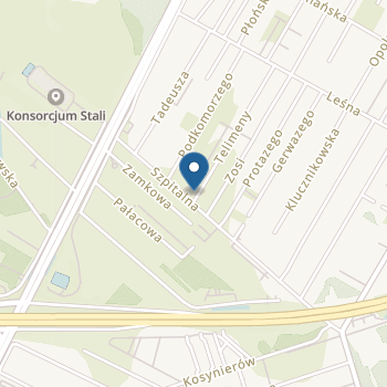 Niepubliczne Przedszkole nr 2 "Smerfy" na mapie