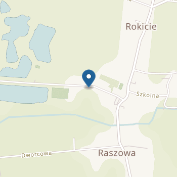 Publiczne Przedszkole w Raszowej na mapie