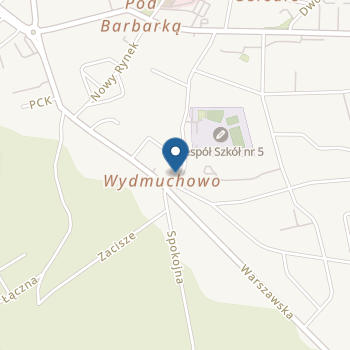 Przedszkole Miejskie nr 1 w Rypinie na mapie