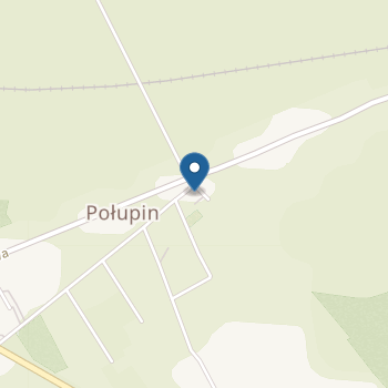 Przedszkole w Połupinie w Zespole Szkolno - Przedszkolnym w Dąbiu na mapie