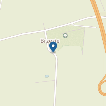 Punkt Przedszkolny w Brzeziu na mapie