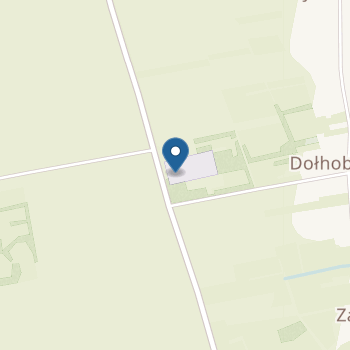 Niepubliczny Punkt Przedszkolny w Dołhobrodach na mapie