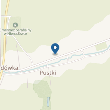 Przedszkole Samorządowe nr 1 w Nienadówce na mapie