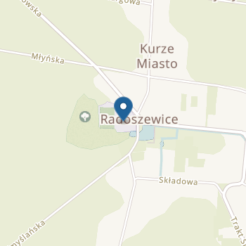 Punkt Przedszkolny w Publicznej Szkole Podstawowej w Radoszewicach na mapie