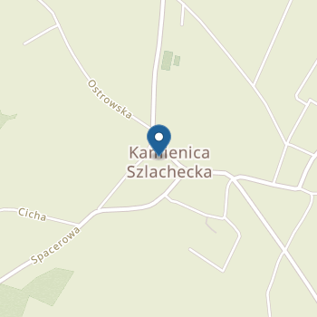 Przedszkole "Promyczek" w Kamienicy Szlacheckiej na mapie