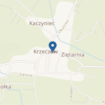 Niepubliczny Punkt Przedszkolny Imienia Błogosławionego Edmunda Bojanowskiego w Krzeczowie na mapie