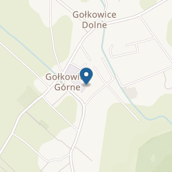 Przedszkole Niepubliczne Sióstr Karmelitanek Dzieciątka Jezus w Gołkowicach na mapie