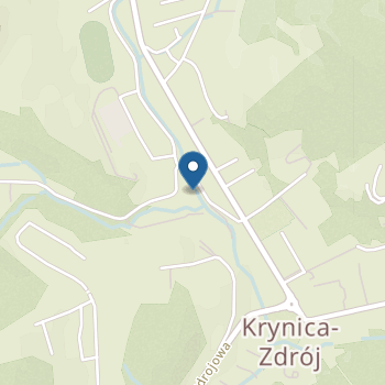 Niepubliczne Przedszkole Ochronka Sióstr Służebniczek Nmp Np w Krynicy-Zdroju na mapie