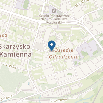 Przedszkole Publiczne nr 10 im. Kubusia Puchatka w Skarżysku-Kamiennej na mapie
