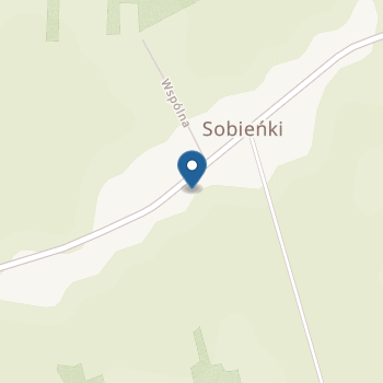 Publiczne Przedszkole im. Janusza Korczaka w Sobienkach na mapie