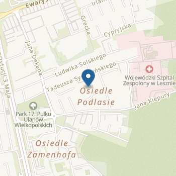 Przedszkole Miejskie nr 19 im. Leśna Kraina w Lesznie na mapie
