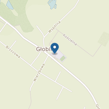 Punkt Przedszkolny w Głobinie na mapie