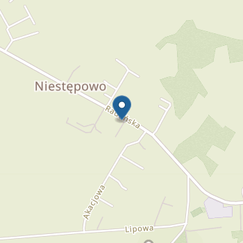 Punkt Przedszkolny w Niestępowie na mapie