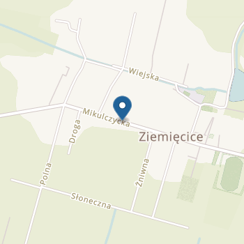 Niepubliczne Przedszkole Specjalne przy Specjalnym Ośrodku Szkolno - Wychowawczym w Ziemięcicach na mapie