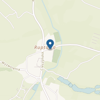 Niepubliczne Przedszkole "Mali Pasjonaci" z Oddziałem Integracyjnym na mapie