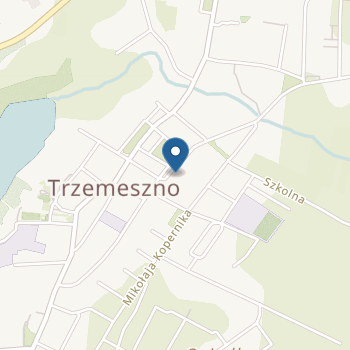 Przedszkole nr 1 im. "Chatka Puchatka" w Trzemesznie na mapie