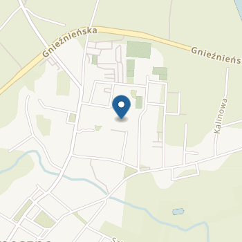 Przedszkole nr 2 im. Misia Uszatka w Trzemesznie na mapie