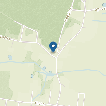 Punkt Przedszkolny "Przedszkolak" w Sochoniach na mapie