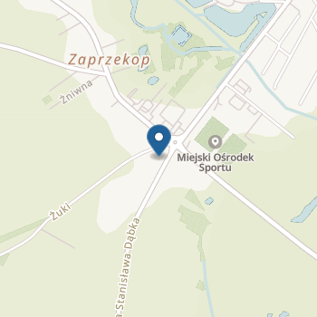 Niepubliczne Przedszkole "Kraina Malucha" w Dąbkowie na mapie