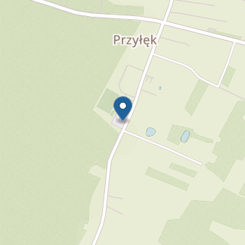 Niepubliczny Punkt Przedszkolny w Przyłęku na mapie