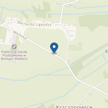 Publiczne Przedszkole w Borkach Wielkich na mapie