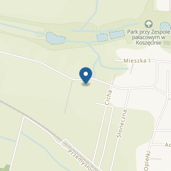 Muzyczne Przedszkole nr 1 Im.Świętej Tereski Od Dzieciątka Jezus w Koszęcinie na mapie