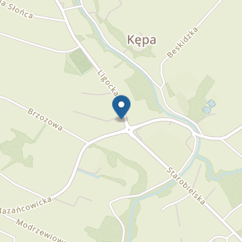 Niepubliczne Przedszkole Niebieski Balonik Paulina Golicz, Małgorzata Krupińska na mapie